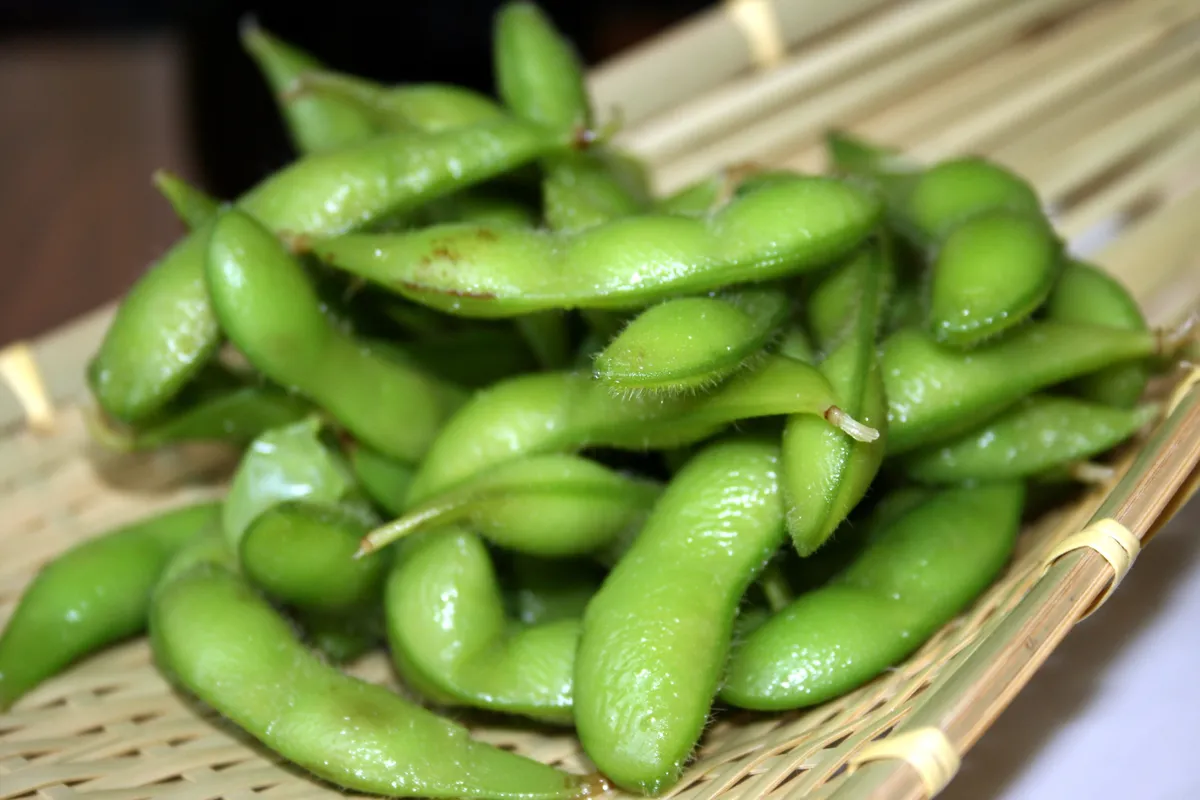 Foto tanaman Edamame