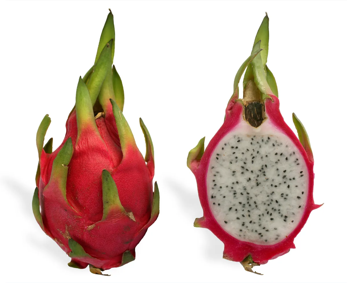 Buah Naga Merah