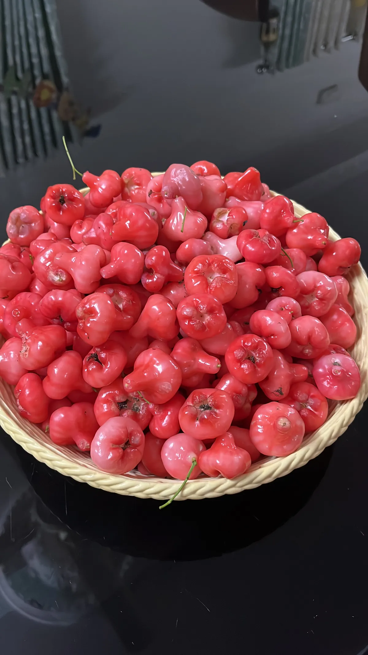 Foto tanaman Jambu Air